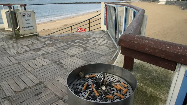 Franca ndalon pirjen e duhanit në plazhe dhe parqe publike