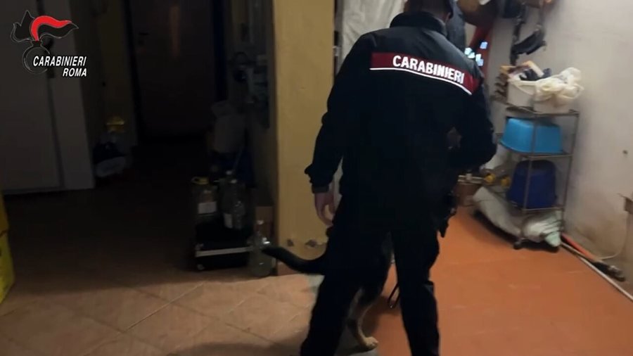 2 kg kokainë e mijëra euro, arrestohen 2 shqiptarë në Itali