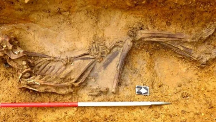 Zgjidhet misteri i kufomës 2000-vjeçare, çfarë thonë ekspertët e ADN-së
