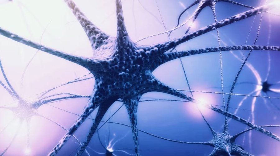 Sa lloje qelizash ka në trurin tonë? Zbulimi i ri do të identifikojë shkakun e Alzheimer dhe Parkinson