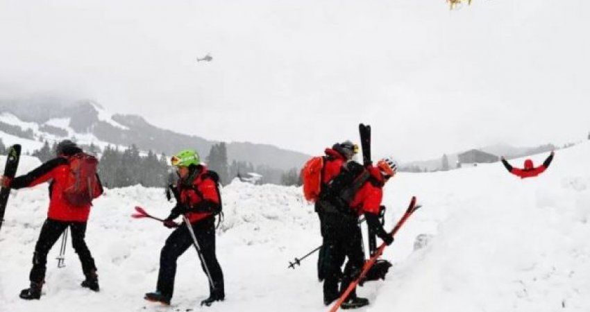 Tragjedia me 10 të vdekur në Alpet e Zvicrës dhe Austrisë nga ortekët e borës