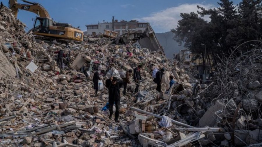 Macja arrin t’i çojë tek rrënojat ekipet e shpëtimit në Turqi, shpëton nënën me fëmijët