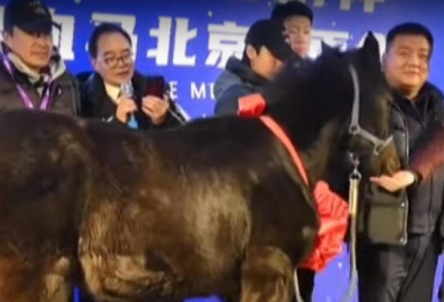 Kali i klonuar në Kinë, vendi aziatik shpreson të nxisë industrinë dhe sportet