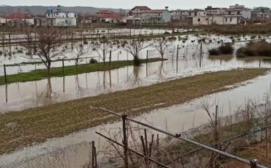 VIDEO/ Fshatra të Kurbinit si liqene të vegjël, banesat rrethohen nga uji 