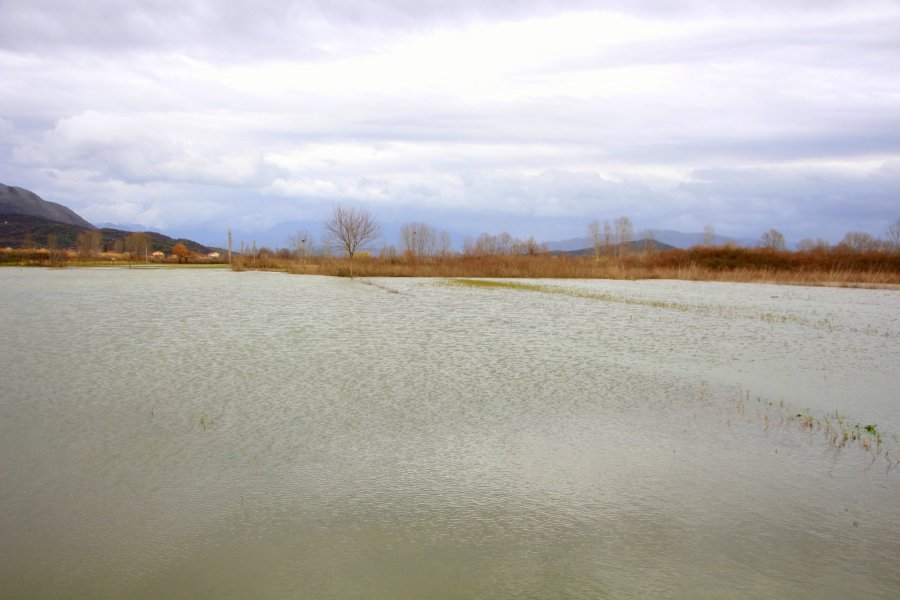 VIDEO/ Asnjë tërheqje uji nga 110 ha tokë të përmbytur në Shkodër