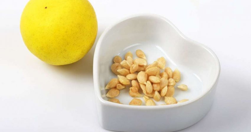 Pesë arsye pse farat e limonit janë një thesar i vërtetë i shëndetit
