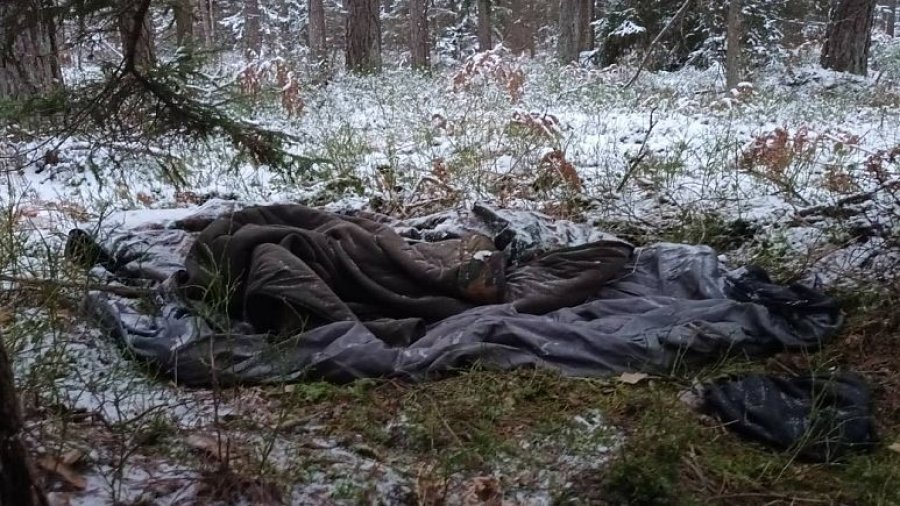 'Ka kufoma në pyll’: Emigrantët e zhdukur përbëjnë shqetësim për aktivistët në kufirin Lituani - Bjellorusi