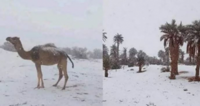 Për herë të parë pas 11 vitesh, bora mbulon Saharanë pranë kufirit me Marokun