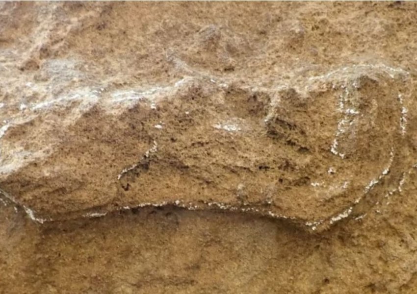 Daton 153 mijë vjet më parë, zbulohet në Afrikën e Jugut gjurma më e vjetër e njeriut