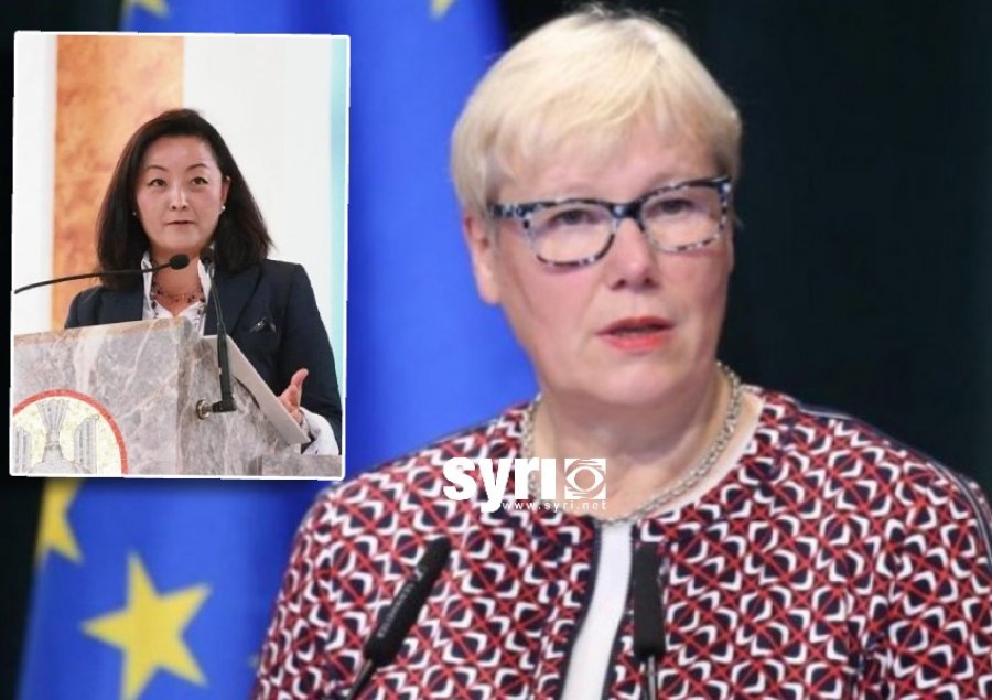 Portrete të kryqëzuara/ Ambasadorja e BE-së shkatërroi modelin Yuri Kim