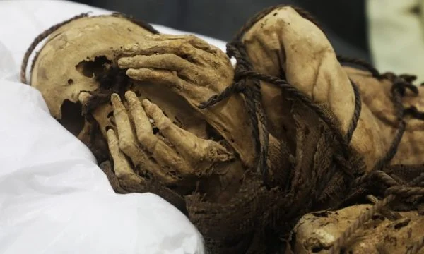 Arkeologët zbulojnë një mumje 3. 000-vjeçare, ishte e mbuluar me misër e fara