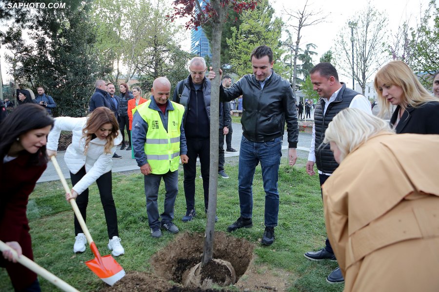 'Tirana s’ka më vend për pemë’/ KLSH: Mjedisi po degradon me shpejtësi