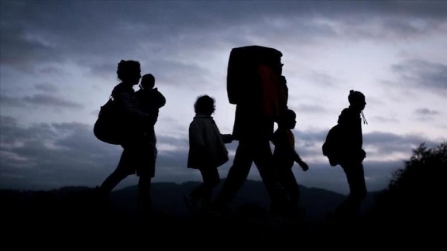 Gjenevë, EUAA: Një milion aplikime për azil në vitin 2022