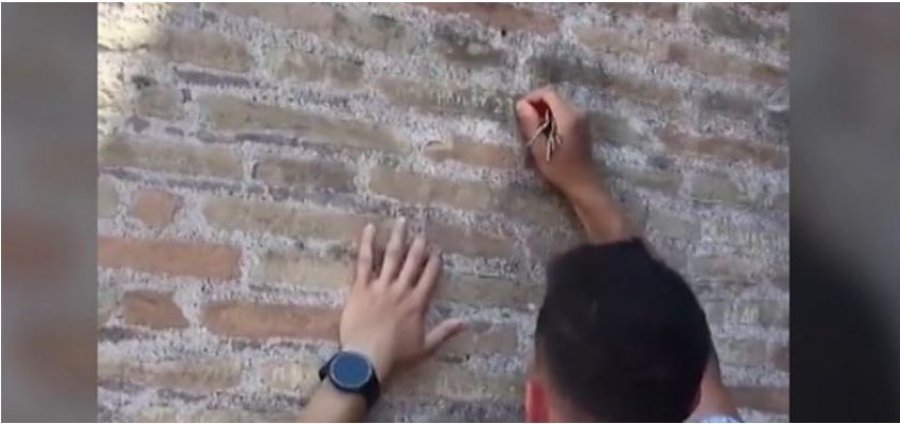 Gdhendi emrin në murin e Koloseut, turisti kërkon falje: S’e dija sa i vjetër ishte