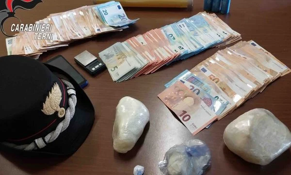 Qentë e policisë nxjerrin zbuluar shqiptarin, i gjendet kokainë e fshehur në kopsht