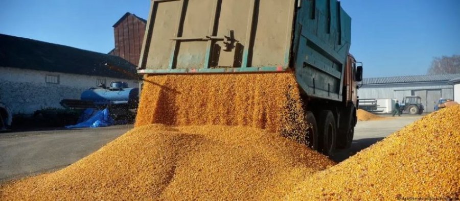 DW/ Domethënia e marrëveshjes për eksportin e grurit ukrainas?