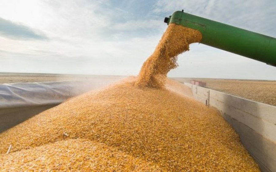 Holanda dhe Gjermania i bëjnë thirrje Rusisë të rifillojë ‘marrëveshjen e grurit’