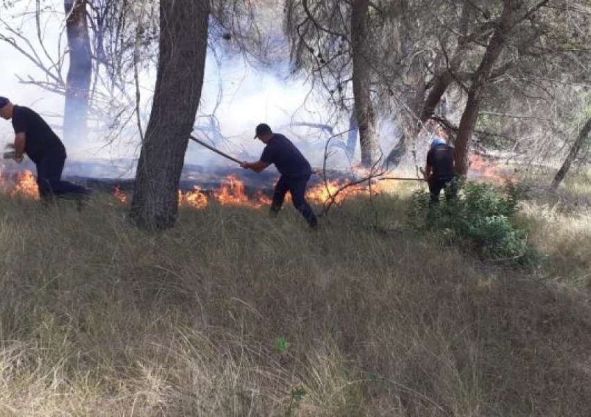 Riaktivizohet zjarri në pyllin me pisha në Peshtan, zjarrëfikësit pa mjete, mundohen të fikin zjarrin me kazma e lopata