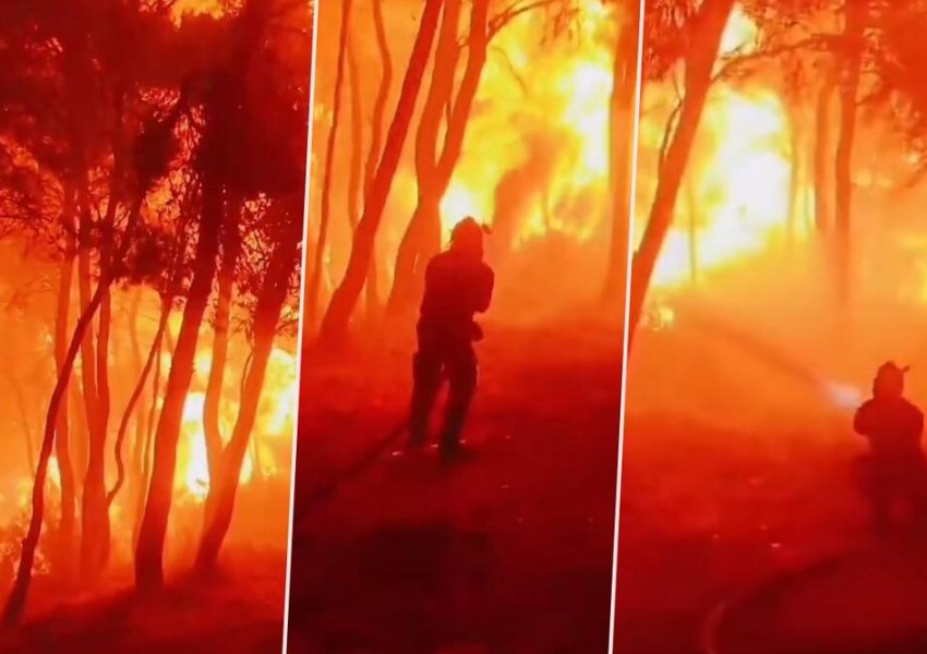 FOTO/ Zjarr dhe evakuime, pamje rrënqethëse nga Rodosi