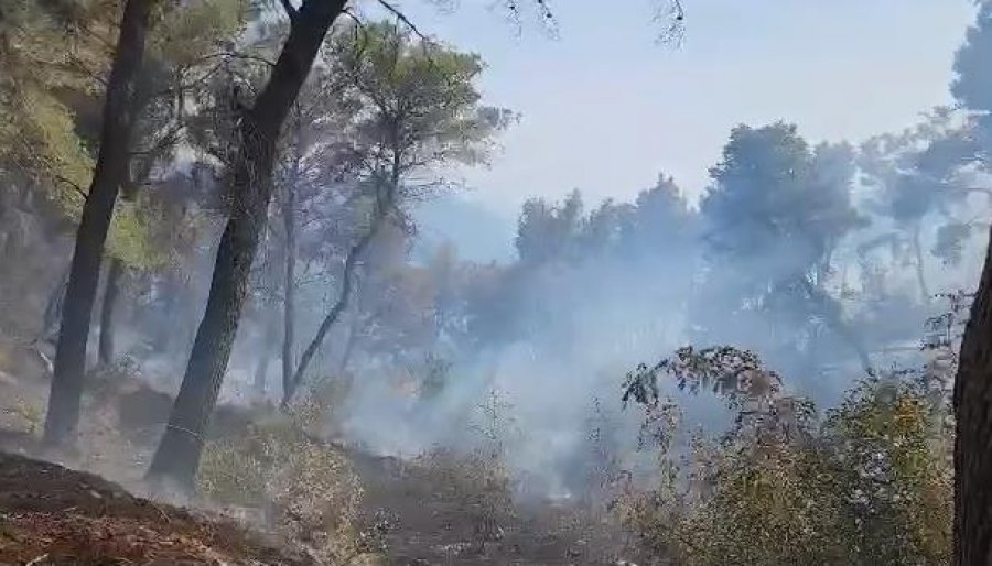 Zjarret ‘pushtojnë’ Fierin, 25 hektarë tokë e djegur. Identifikohet autori