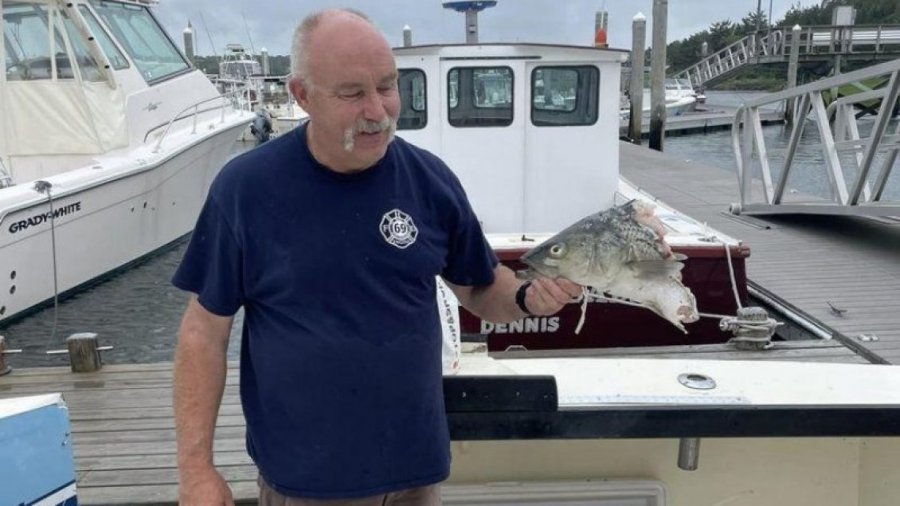 Amerikani që kapi peshkun, mbeti i shtangur kur i pa vetëm kokën
