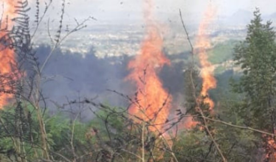 I vuri zjarrin shkurreve, 67-vjeçari në Durrës rrezikon jetën