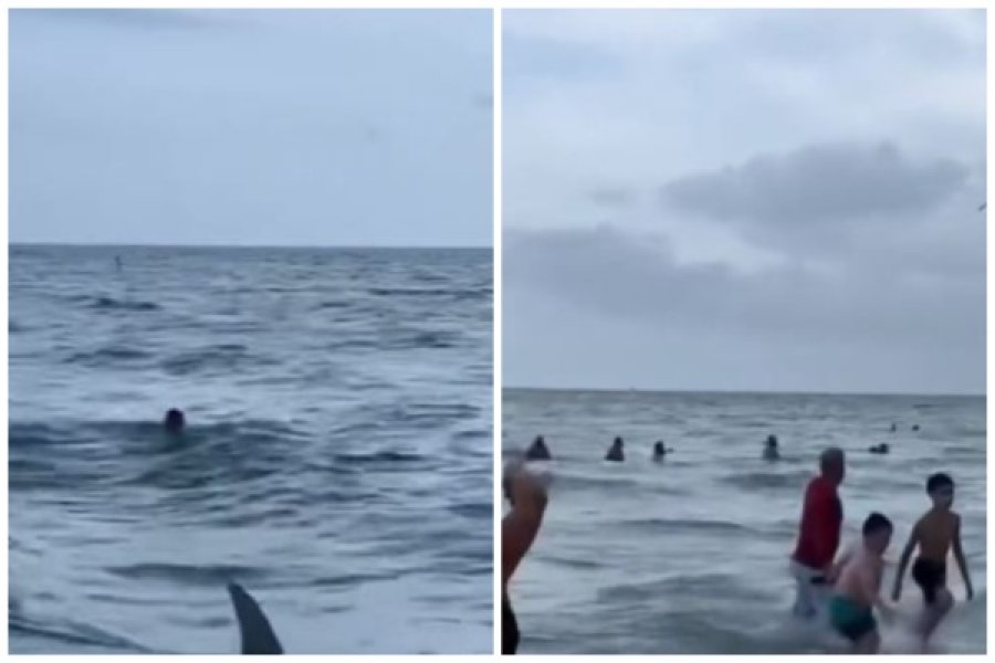 VIDEO/ Peshkaqeni noton mes njerëzve në plazhin e Floridas, shtangen pushuesit