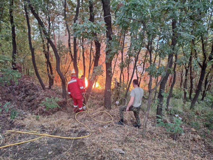 Situata me zjarret në Shqipëri, reagon Ministria e Mbrojtjes: Po punohet në disa zona ku ka ende vatra aktive