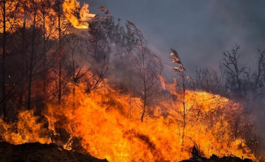 Greqia në alarm, më shumë se 500 vatra zjarri vetëm në 10 ditë, rajonet më të rrezikuara
