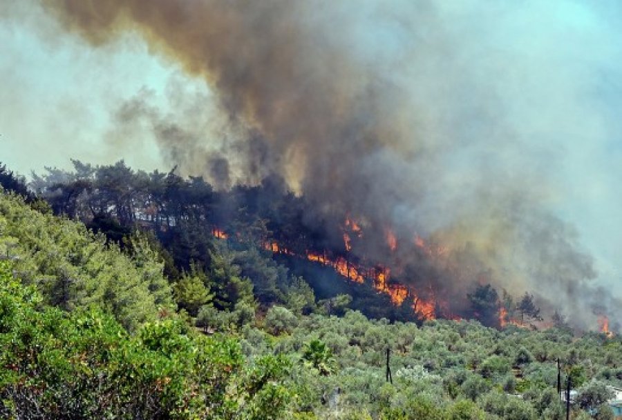 Situata e zjarreve në Greqi, rreth 74 zjarrfikës të plagosur