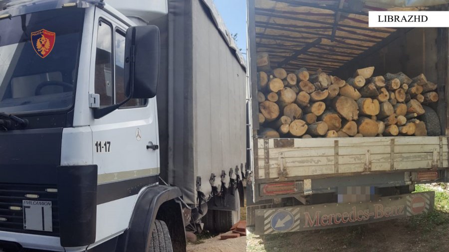 Kapet në ‘flagrancë’ 33-vjeçari nga Librazhdi, po transportonte me kamion lëndë drusore të prerë