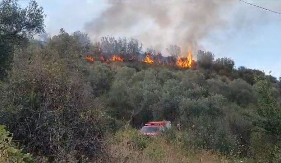 Ndezi zjarr për të djegur mbeturinat, por dogji tokën e fqinjit, arrestohet 50-vjeçari në Durrës  
