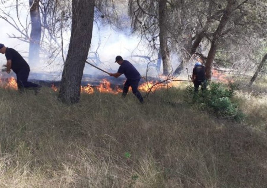 Berat, zjarri në malin e Shpiragut, zjarrfikësit punuan për fikjen, ndërhynë nga ajri! Shuhet pas disa orësh