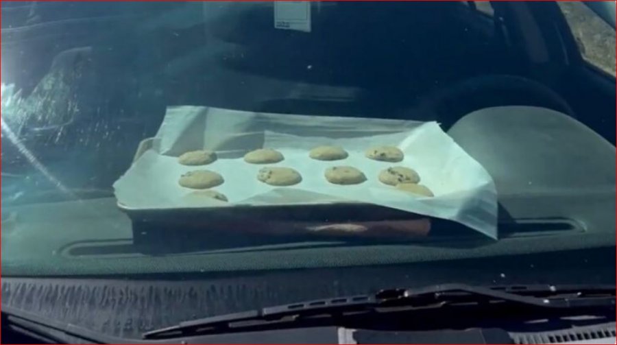 Është kaq vapë në SHBA sa rojet e parkut pjekin biskota në një makinë