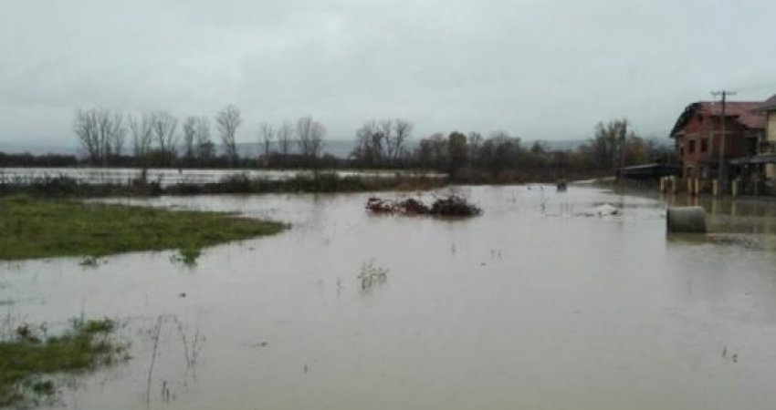 Qeveria ndan 4 milionë euro për t’ua kompensuar bizneseve dhe bujqve dëmet nga vërshimet