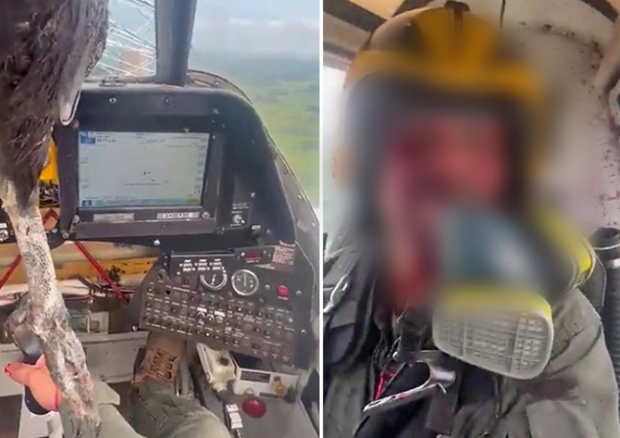 VIDEO/ Incident tronditës në Ekuador, një zog i madh përplaset me një avion ushtarak
