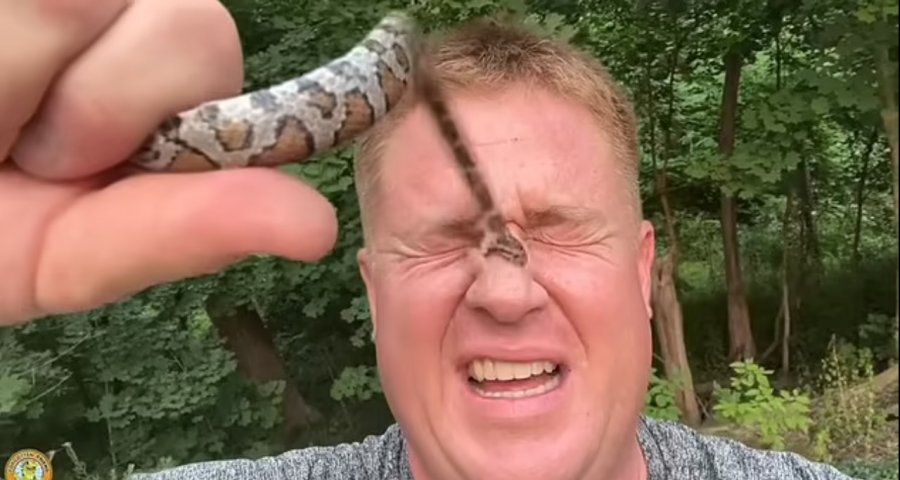 VIDEO/ Gjithçka për klikime, YouTuberi le gjarprin ta kafshojë 50 herë