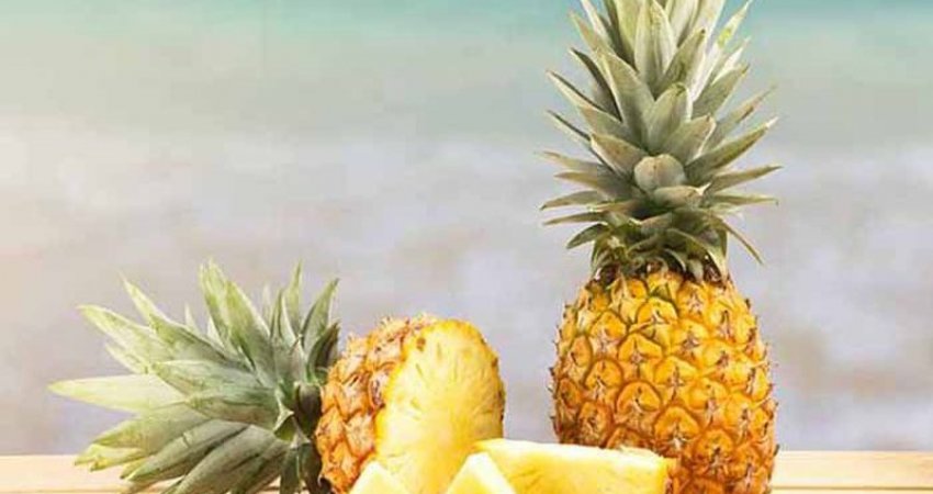 Ananasi është pema e vetme, e cila nuk përmban pesticide