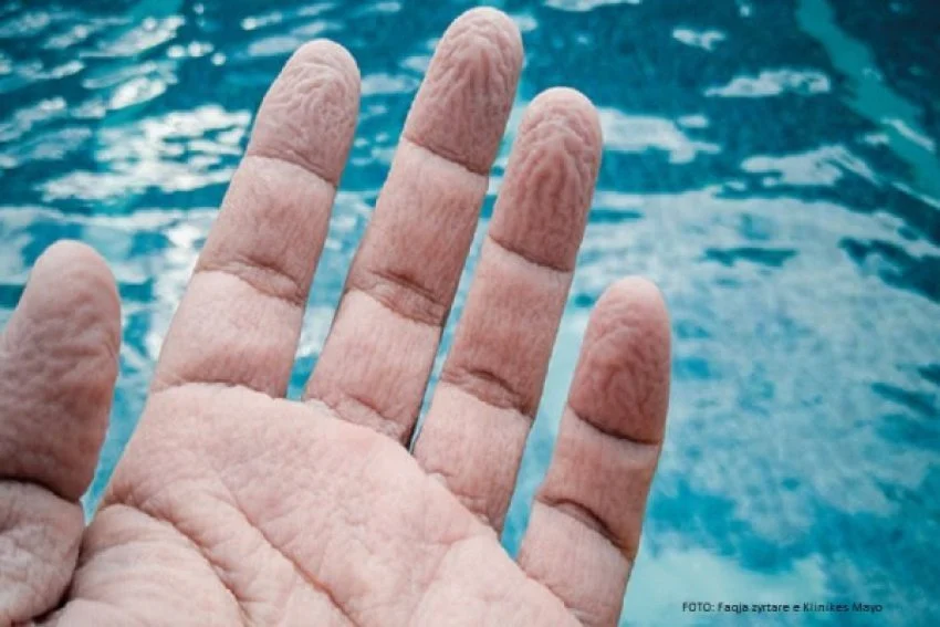 Pse rrudhen gishtat në ujë, zbuloni disa mistere të jashtëzakonshme të trupit