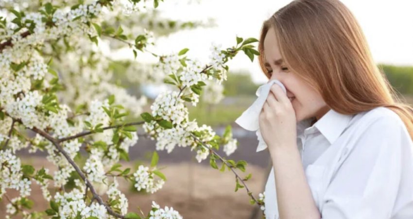 Pse simptomat e alergjisë janë më të këqija se zakonisht këtë vit?