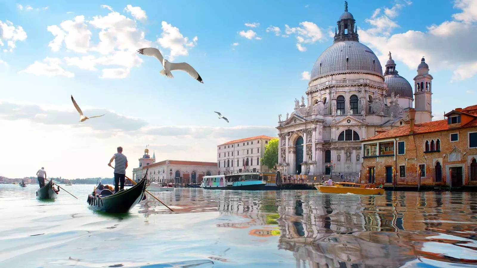 Turizmi i lëmoshës në Venecia, lypësit fitojnë deri në 1 mijë euro në pak ditë