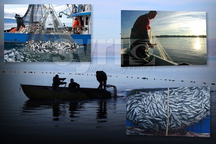 Kriza në bujqësi/ Pas blegtorisë, bie edhe peshkimi në vitin 2022