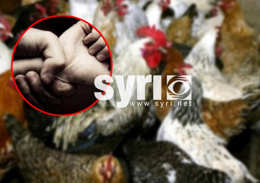 ‘Dhunoi për vdekje hajdutin e pulave’, arrestohet 22 vjeçari në Kuçovë