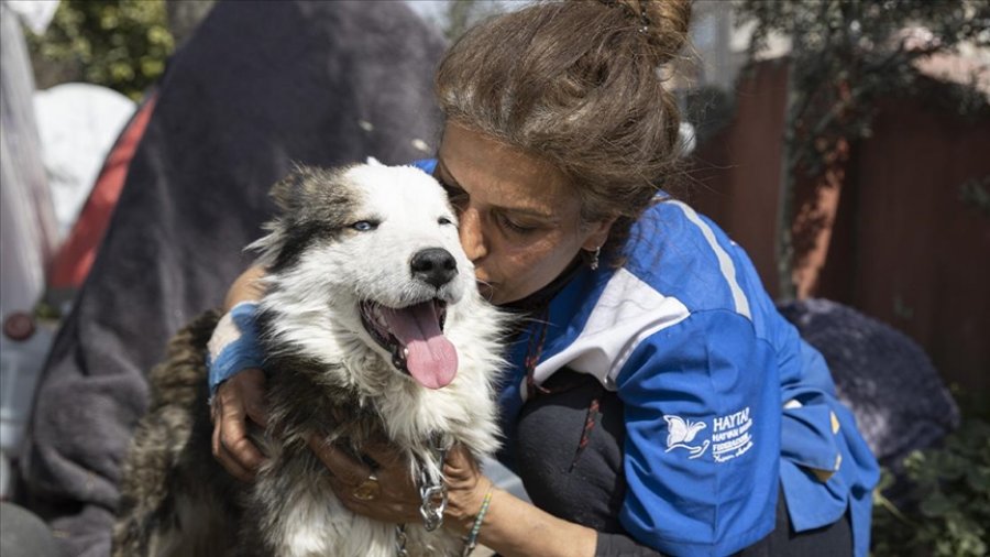 Turqi, qeni mbijeton nën rrënoja për 22 ditë