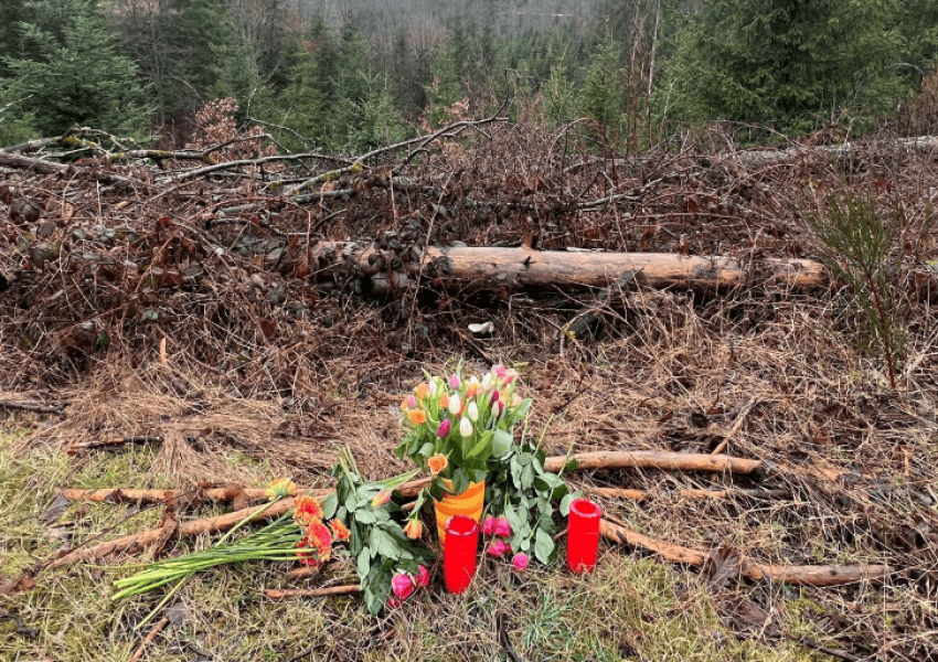 E rëndë/ Gjendet e vdekur në pyll 12-vjeçarja, u vra nga shoqet e saj të mitura