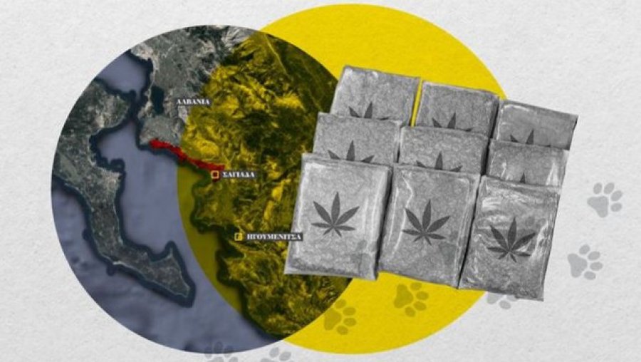 Media greke: Trafiku i drogës Shqipëri-Igumenicë, rrjeti përdor të pastrehë për transportin e marijuanës