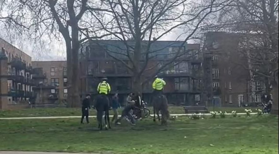 Moment tronditës/ Qeni sulmon kuajtë e policisë britanike