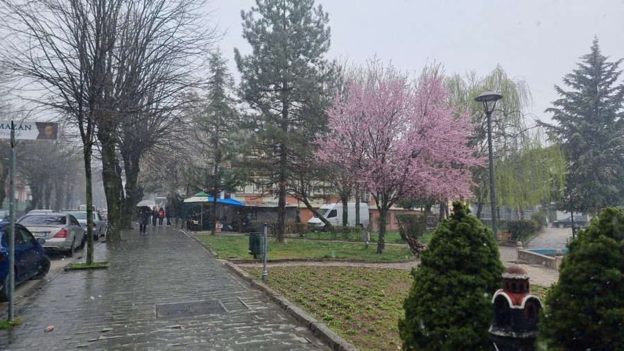 Fundi i marsit, me ulje temperaturash dhe reshje bore në Korçë