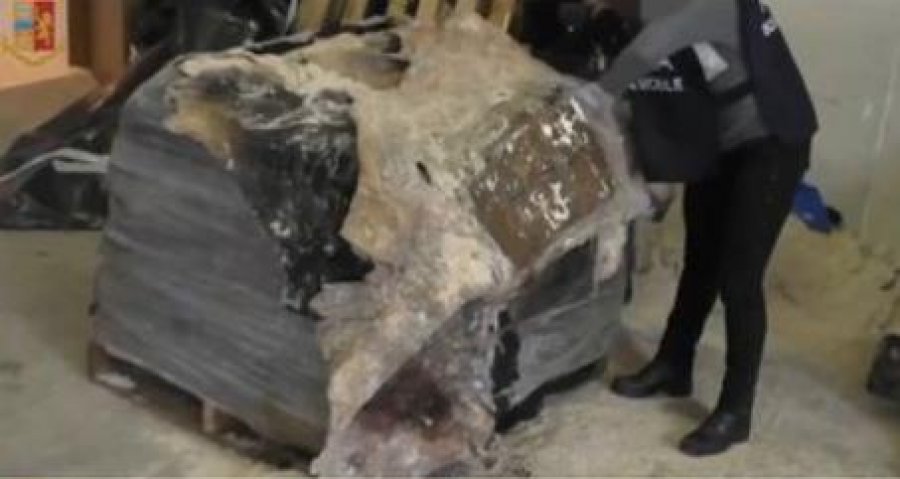 Kokaina vinte në kontejnerë me lëkurë viçi, kapen 760 kg, mes të arrestuarve edhe një shqiptar
