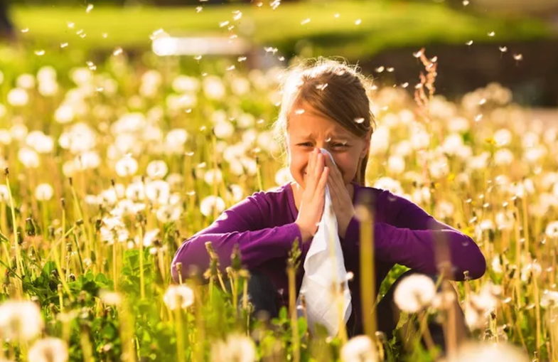 Alergjia nga polenat: Ç’duhet të dini?